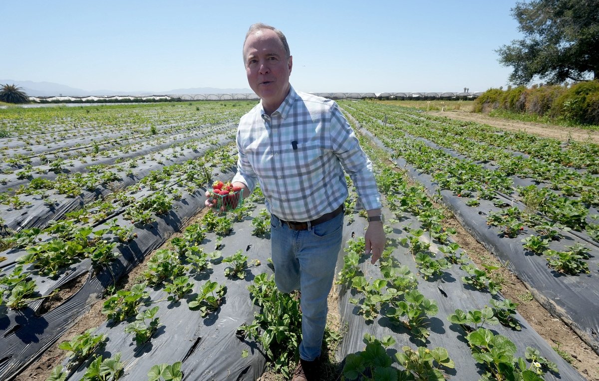 California Lawmakers Target Polymarket Wildfire Markets