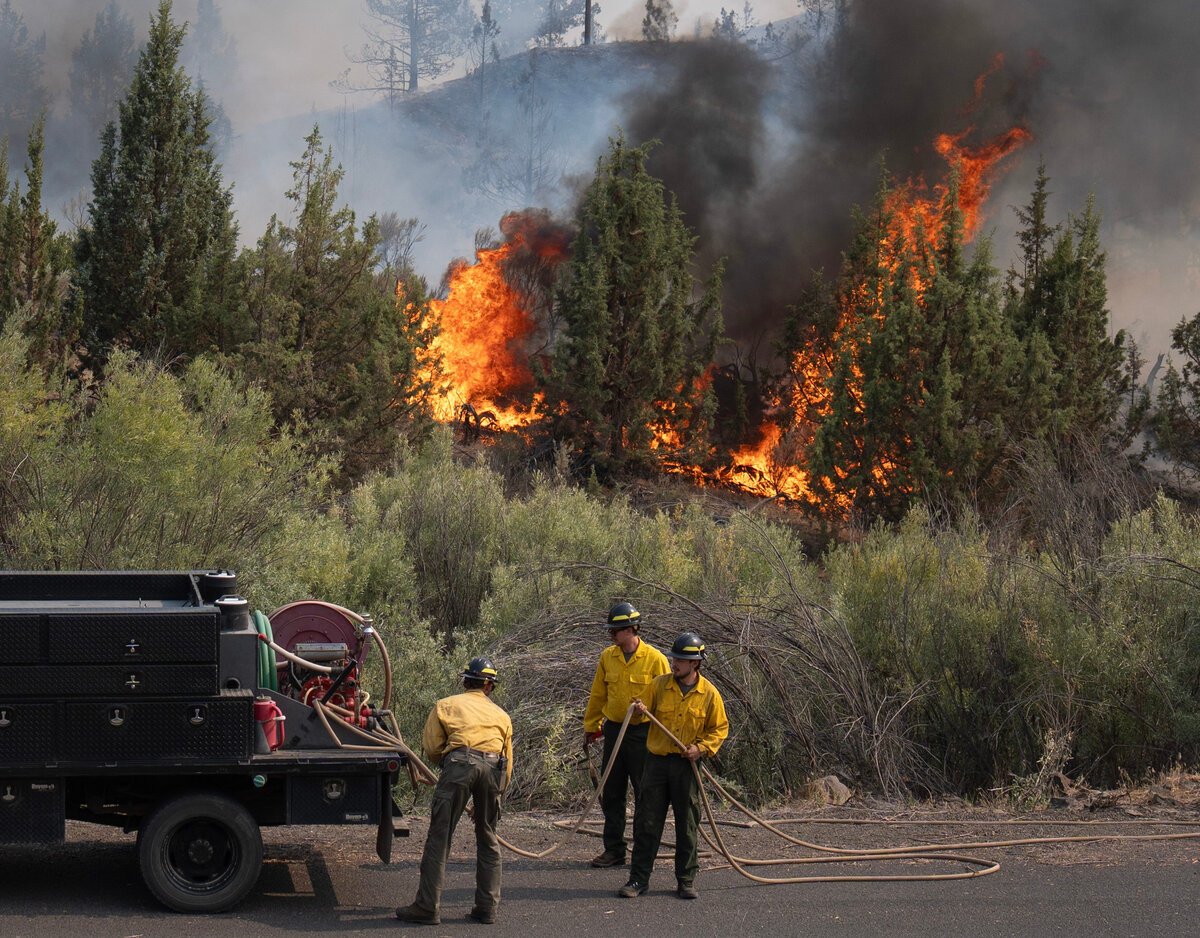Senators Push CFTC to Review Wildfire Prediction Markets